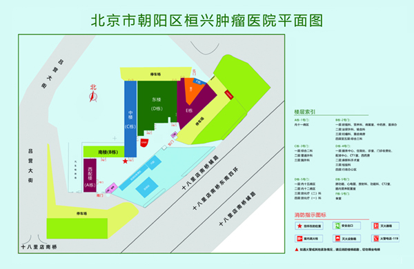 大鸡吧操逼啊啊北京市朝阳区桓兴肿瘤医院平面图